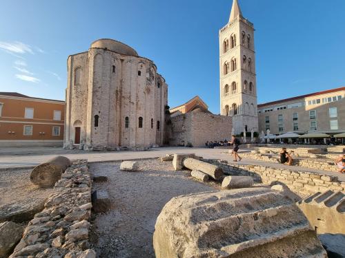 campery asone - WhatsApp Image 2021-11-04 at 13.11.28 (5)